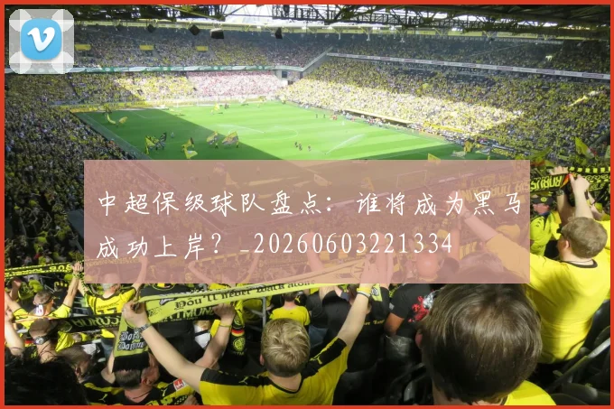 中超保级球队盘点:谁将成为黑马成功上岸?_20260603221334