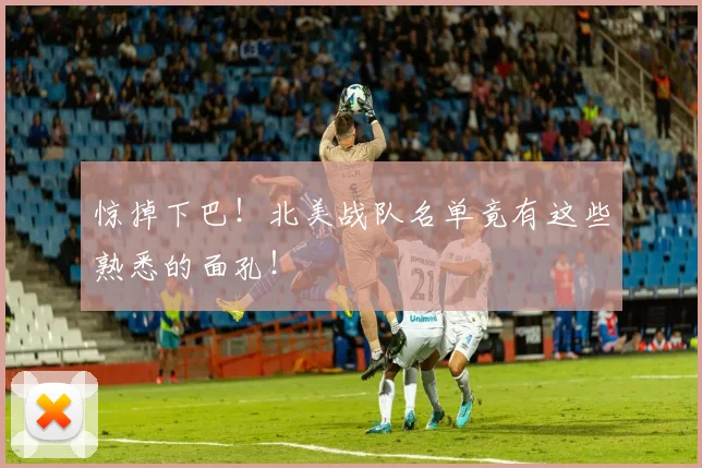 惊掉下巴！北美战队名单竟有这些熟悉的面孔！