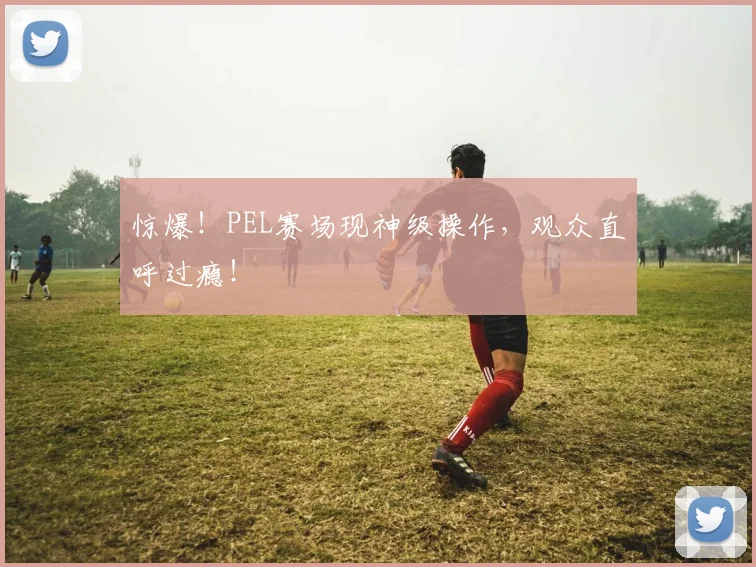 惊爆！PEL赛场现神级操作，观众直呼过瘾！